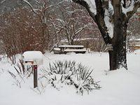 December2010Snow