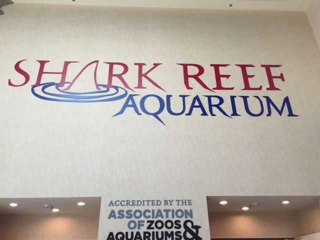 Shark Reef Acquarium Entrance - Mandalay Bay